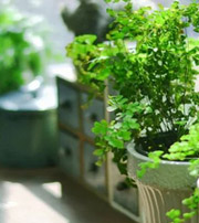 湖北专属于你的开运指南，助你鸿运当头福满身！