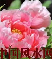 湖北预示你财运上升，姻缘可成的梦境，快来看看吧！