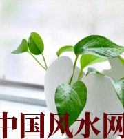 湖北家中摆放六种吉祥物，会打开您的财运大门！
