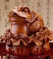 湖北解读金蟾最合适的位置，这样摆放更招财！