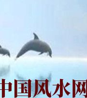 湖北做梦梦到这些，是要富裕的征兆！